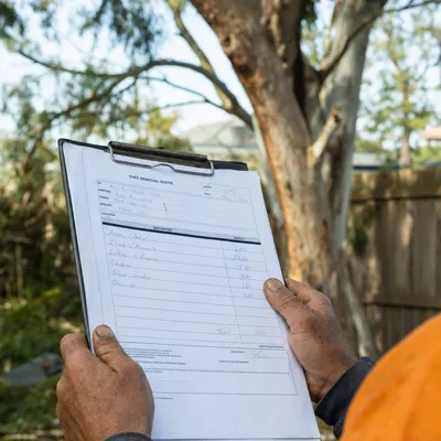 Reading a written tree removal quote on site in Mornington Peninsula