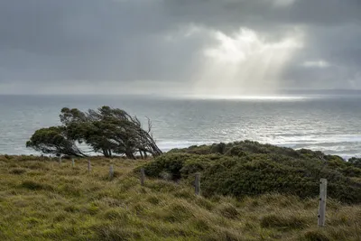 Coastal and bay wind exposure, Mornington Peninsula