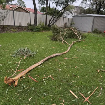 Before: Storm damaged limb on a holiday house, Mornington Peninsula