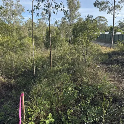 Before: Land clearing for a holiday block subdivision, Mornington Peninsula