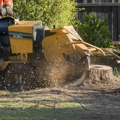 Stump Grinding in Mornington Peninsula. Ground below grade and ready to repave or returf. Compact machines sized for Peninsula side gates and sandy soil conditions.