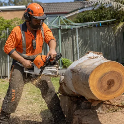 Tree Removal in Mornington Peninsula. Rigged sectional removal of cypress windbreaks, coastal moonah, Monterey pines and large gums on Peninsula blocks where a straight fell isn't an option.