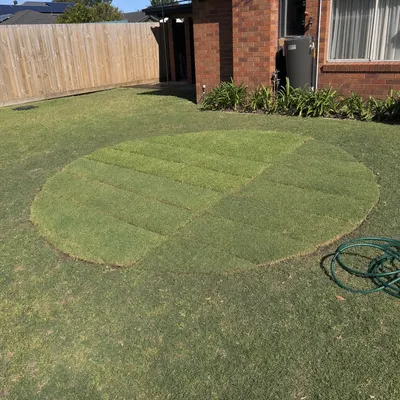 Stump ground 150–300mm below grade, Mornington Peninsula